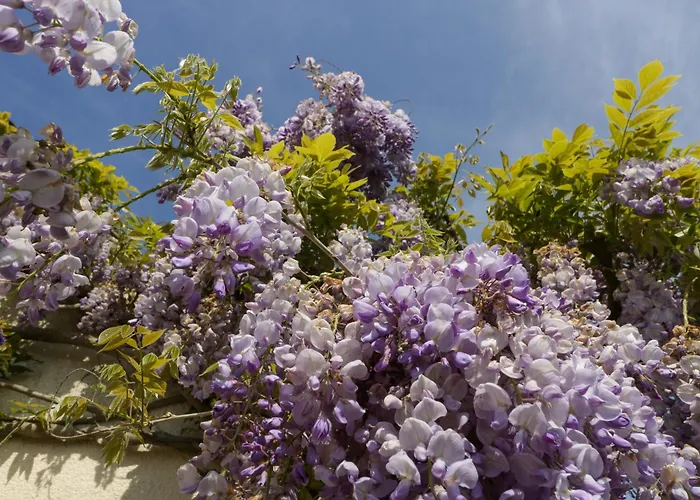 Bilsham Meadows * Bristol