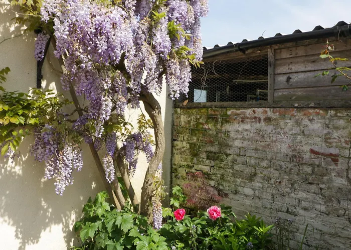 Casa vacanze Bilsham Meadows