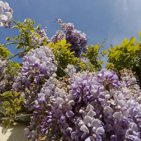 Bilsham Meadows * Bristol