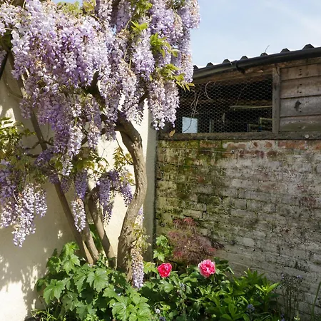 Casa vacanze Bilsham Meadows